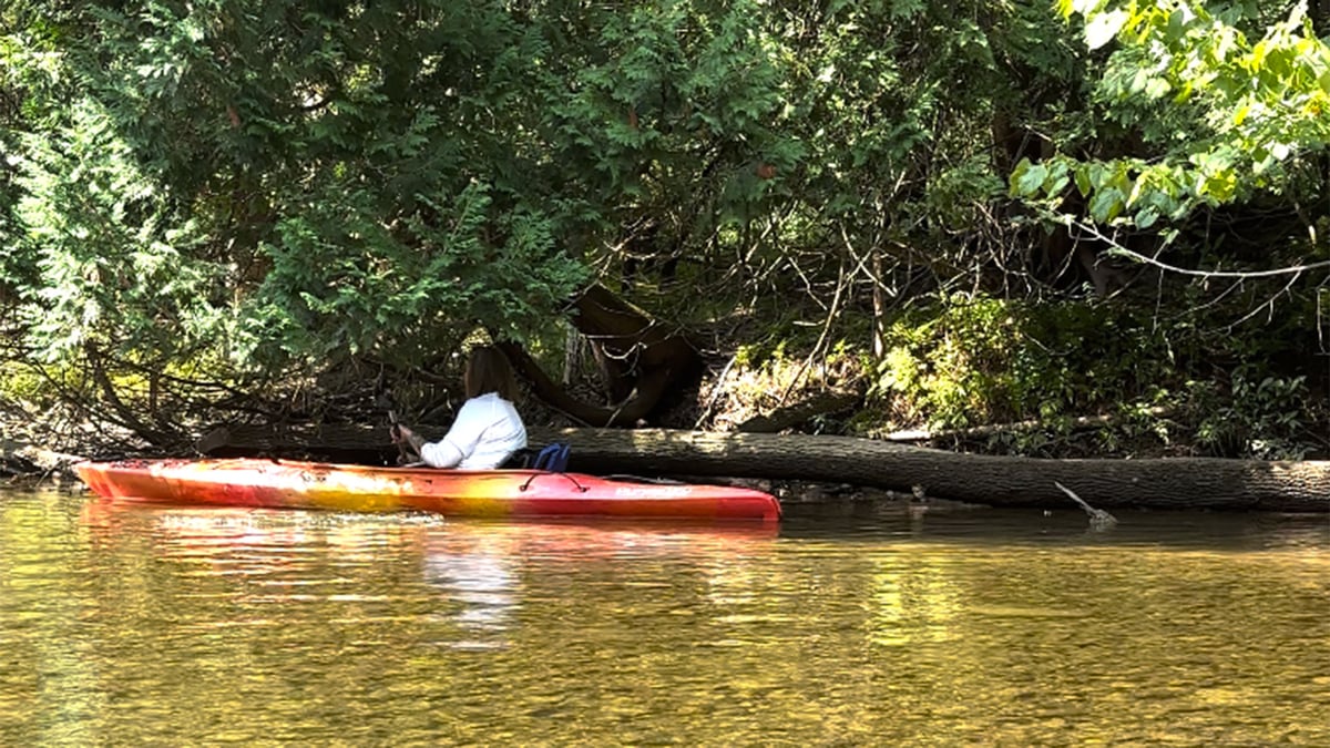 Cedar-River-Cleanup